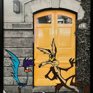 Puerta a lo inesperado — Kathya Myranda